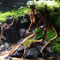 A Collection of Driftwood Pieces for Aquarium Decoration, Perfect for Creating a Natural Landscape in Your Fish Tank