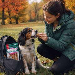 Pure Breed 36 Pack Collagen Dog Chews | Rawhide Free Collagen Chewy Rolls Chicken & Beef | Long Lasting Natural Dog Chews | Easy to Digest Bulk Dog Treats