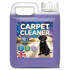 Pet Carpet Cleaning Shampoo Solution Stain Odour Remover Extra Tough On Stains (1 Litre)