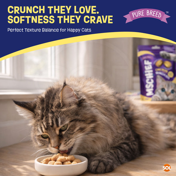 Pure Breed Mischief Cat Treats 6 Pack | Chicken Flavour Pillow Snacks for Cats | Crunchy Outside & Soft Creamy Centre | High Protein Low Calorie Cat Bites (Only 2 kcal Each) | Natural Resealable Cat Treat Pouches