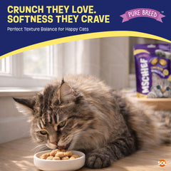 Pure Breed Mischief Cat Treats 6 Pack | Chicken Flavour Pillow Snacks for Cats | Crunchy Outside & Soft Creamy Centre | High Protein Low Calorie Cat Bites (Only 2 kcal Each) | Natural Resealable Cat Treat Pouches
