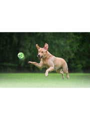 Engaging Giggle Ball Designed for Both Dogs And Cats - A Pet Puzzle Toy That Produces Distinctive Giggling Noises - Sturdy Chew Toy to Alleviate Boredom - Made from Safe Vinyl - Measures 12.95 cm, Without Battery