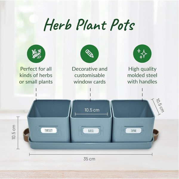 Herb Pots for Kitchen Windowsill - Set of Herb Planter Indoor with Leather Handled Tray - Ideal for an Indoor Herb Garden, Plants and Flowers - Labels Included