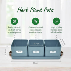 Herb Pots for Kitchen Windowsill - Set of Herb Planter Indoor with Leather Handled Tray - Ideal for an Indoor Herb Garden, Plants and Flowers - Labels Included