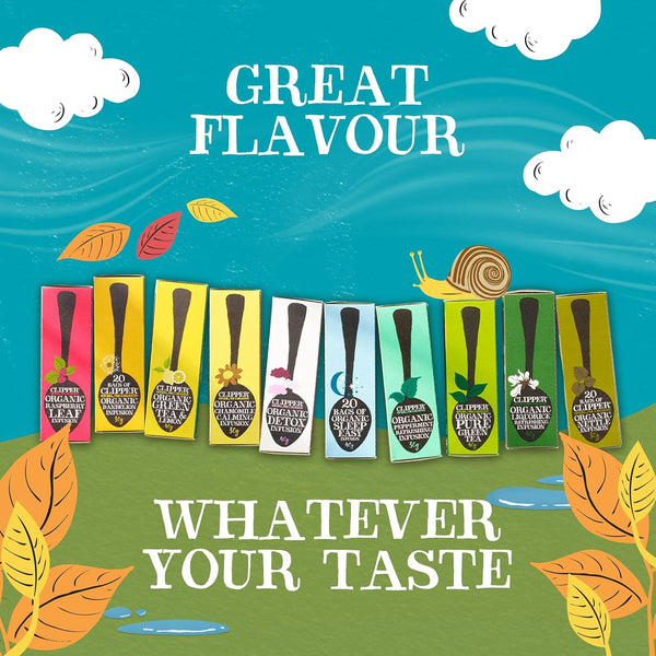 Clipper Organic Everyday Fairtrade Teabags | Black Tea Bags | Natural, Unbleached, Plant-Based Biodegradable & Sustainable Teabags | Eco Conscious, Non GM & Fair Trade Tea (80 Teabags)