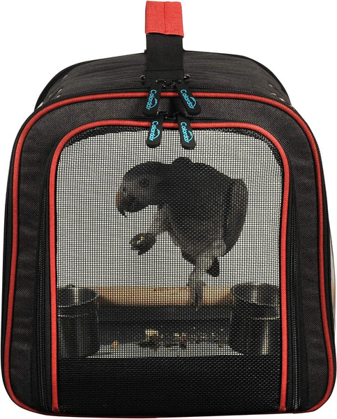 Colorday Lightweight Bird Carrier, Bird Travel Cage (Large 19 X 12 X 13, Black)