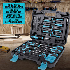 Amartisan 43pcs Magnetic Screwdriver Set with Case, Chrome Vanadium Steel, Includes Slotted, Phillips, Hex, Pozidriv, Torx & Precision Screwdrivers, Magnetizer/Demagnetizer, Flexible Shaft for Home Repair, DIY & Professional Use