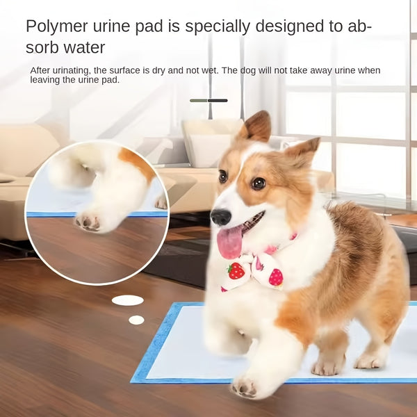 10/50/100pcs Super Absorbent Dog Diaper Mats, Leak-Proof, Quick-Dry Thick Deodorant Puppy Urine Pads Dog Toilet Mats For Potty Training Made of Polyester Fiber