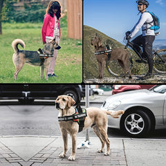 Basic Dog Harness for Emotional Support Dogs Non-Tension Reflective Adjustable Non-Choking Pet Vest Straps with Handles for Easy Walking And Training for Small Medium And Large Dogs