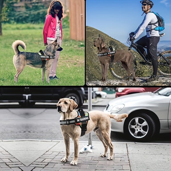 Basic Dog Harness for Emotional Support Dogs Non-Tension Reflective Adjustable Non-Choking Pet Vest Straps with Handles for Easy Walking And Training for Small Medium And Large Dogs