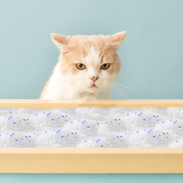 3.8L/ 5L/ 10L Silica Cat Litter Crystals Kitten Litter Ultra Absorbent 100%, Effective Odour Control, Dust-Free, Comfortable Biodegradable Hygiene Easy to Clean Cat Litter