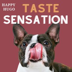 Happy Hugo Venison Bites - Gourmet Dog Treats | Air-Dried, Deli-Style, Chewy Mini Rewards, Puppy-Friendly