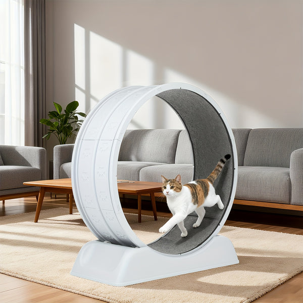 Cat Exercise Wheel, 79 Cm Cat Treadmill for Indoor Cats, Running Wheel with Carpeted Runway, Easy to Install & Fitness & Health, Suitable for Most Cats, Plastic Wheel