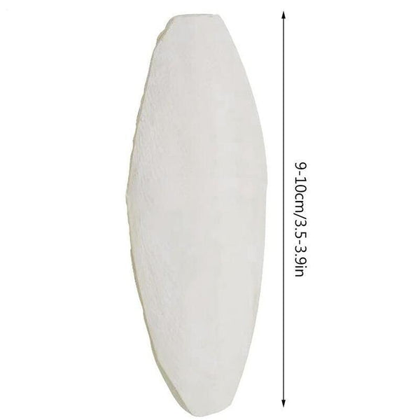 10pcs Cuttlebone for Birds, Cuttlefish Bone Calcium Supplement Set, Mineral Chew Toy, Pet Bird Food Supply, Ideal for Parrots, Budgies, Cockatiels, And Other Pet Birds' Health Care