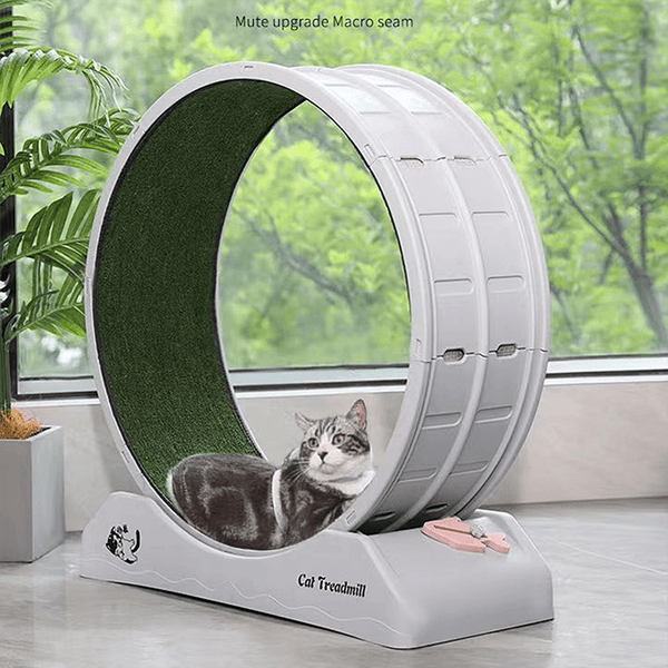 1pc Indoor Assembly Cat Roller Treadmill, Silent Fitness Cat Treadmill Wheel, Plastic Treadmill for Pet Cats, Easy to Assemble and Clean
