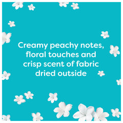 Fairy Outdoorable Fabric Softener, 285 Wash, 3.99L