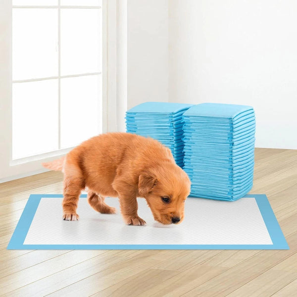 100Pcs Thick, Odor-Controlling Disposable Diapers for Dogs And Cats, Designed to Absorb Urine Effectively