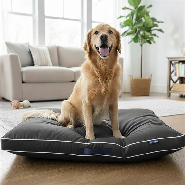 Dog Bed Waterproof, Plush Dog Mattress, Machine Washable, Medium & Large Sized, Cozy Dog Bed, Dog Sleeping Mattress, Black, Grey, Blue, Charcoal & Silver