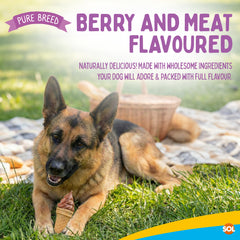 Pure Breed Snack Pack Dog Chews 2 Pack | Mint & Strawberry Ice-Cream Dog Treats | Healthy Low Fat Grain-Free Dog Snacks | Long Lasting Natural Chew for All Breeds | Daily Training Reward Treat