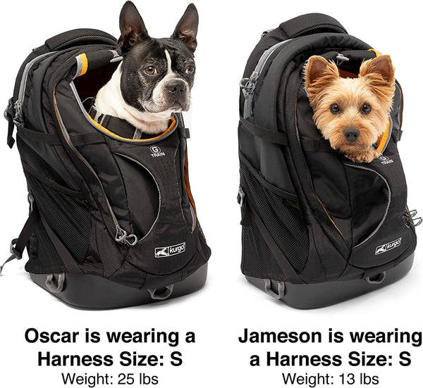 Kurgo G-Train Pack, Carrier Backpack for Small Dogs and Cats, Ideal for Hiking or Travel, Waterproof Bottom, Chili Red
