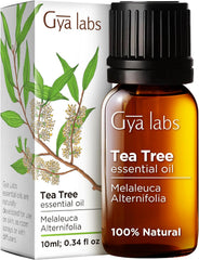 Gya Labs Rose Essential Oils for Skin - 100% Pure Natural Rose Oil for Face, Hair, Diffuser, Perfume & Candle Making Scent Aromatherapy (10Ml)