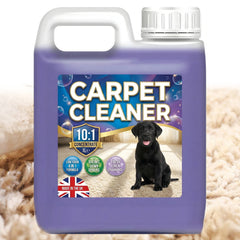 Pet Carpet Cleaning Shampoo Solution Stain Odour Remover Extra Tough On Stains (1 Litre)