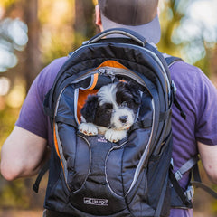 Kurgo G-Train Pack, Carrier Backpack for Small Dogs and Cats, Ideal for Hiking or Travel, Waterproof Bottom, Chili Red