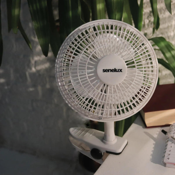 Senelux 6