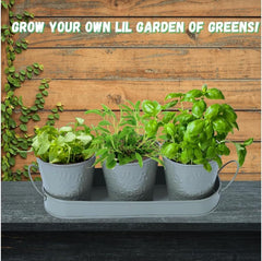 Trendi – Set of 3 Metal Plant Pots with Drip Tray | Embossed Indoor & Outdoor Plant Pots for Garden, Windowsill, Kitchen & Desk | Decorative Metal Flower Pots for Herbs & Plants | Light Grey