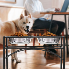 Elevated Double Dog Bowls Feeder with Stainless Steel Water and Food Dishes for Dogs, Pet Feeder, Food Bowl, Two