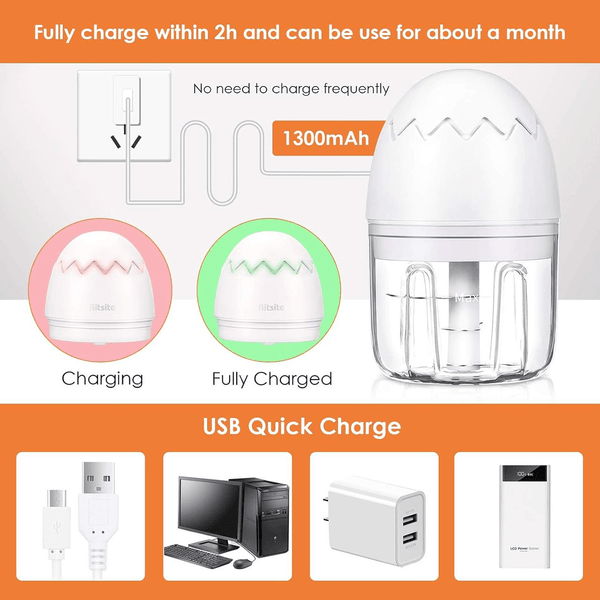 Mini Electric Food Chopper 250ML – Portable Garlic Chopper, Onion Cutter and Small Food Processor for Home or Travel