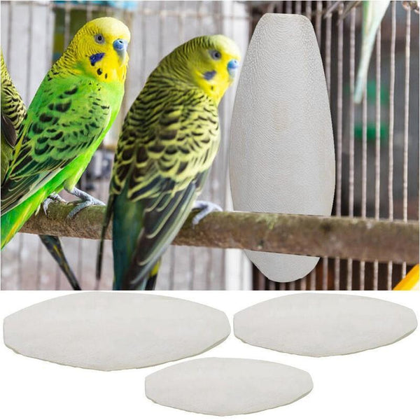 10pcs Cuttlebone for Birds, Cuttlefish Bone Calcium Supplement Set, Mineral Chew Toy, Pet Bird Food Supply, Ideal for Parrots, Budgies, Cockatiels, And Other Pet Birds' Health Care