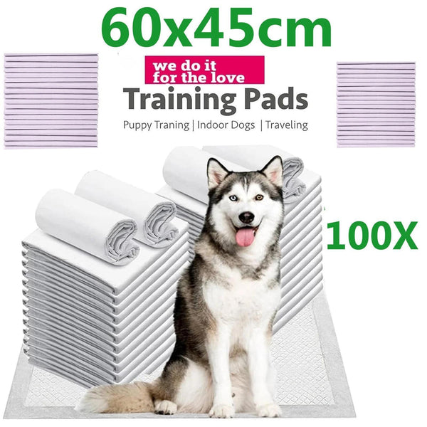 100Pcs Thick, Odor-Controlling Disposable Diapers for Dogs And Cats, Designed to Absorb Urine Effectively