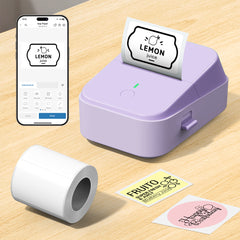 PM260B Portable Wireless Thermal Label Maker - 203DPI HD Printing, 1200mAh Long Battery, Auto-Calibration, Compatible with Mobile & Computer Systems, for Home Storage / Office Organization / Personal Item Sorting (Labels Included)