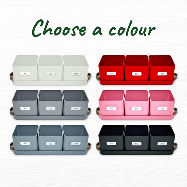 Herb Pots for Kitchen Windowsill - Set of Herb Planter Indoor with Leather Handled Tray - Ideal for an Indoor Herb Garden, Plants and Flowers - Labels Included