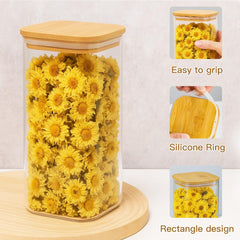 Glass Storage Jars with Lids Airtight Spaghetti Pasta Storage Container Kitchen Containers Clear Food Storage containers for Spaghetti Pasta Oats Cereal Rice
