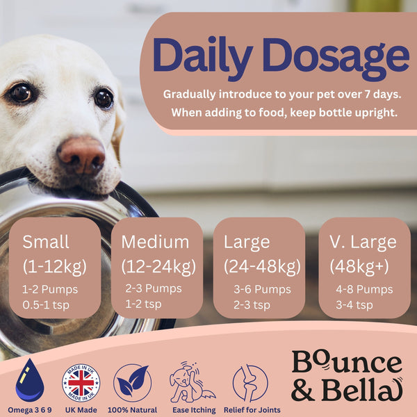 Scottish Salmon Oil for Dogs & Cats UK - Purity-Filtered Omega 3-6-9 Fish Oil Supplement, 500ml, Bounce and Bella