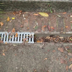 Hedgehog Gutter Brush Leaf and Debris Guard 2 X 4M