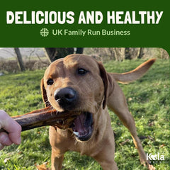 Metatarsus Ostrich Bones For Dogs