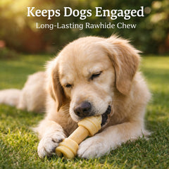Pure Breed 2 Pack Knotted Rawhide Dog Chew Bones | Long Lasting Dog Chew Treats | High Protein Low Fat Dog Snacks | Puppy & Adult Dog Chew Bones for Indoor or Outdoor Use