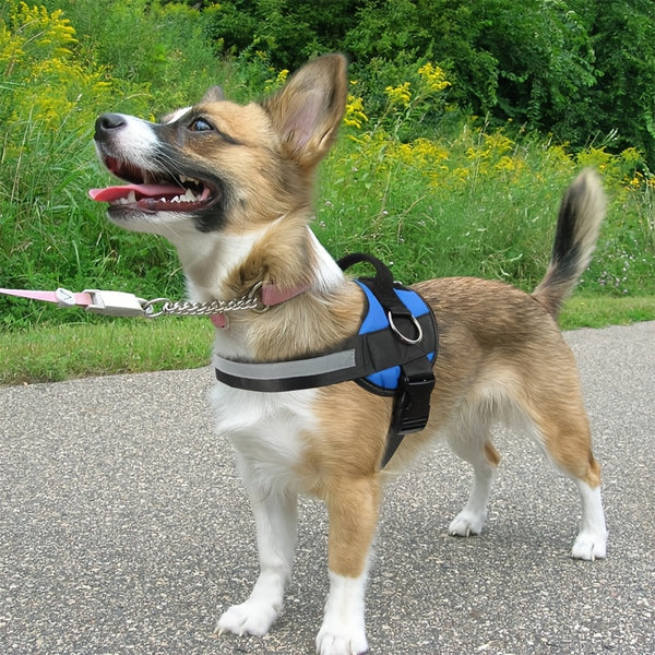 Adjustable Dog Harness for Small & Large Dogs - Reflective Nylon Vest with Striped Design, D-Ring Leash Attachment, and 