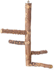 KINTOR Bird Perch Nature Wood Stand for 3-4Pcs Small Medium Parrots (S-For Small Parrots)