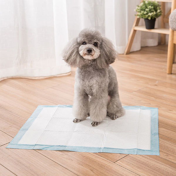 Puppy Pads Pack of 40 Pee Pads for Dogs Potty Training with Leak-Proof Quick-Dry Design Multi-Layer Puppy Training Pads Pack of 20 XL-size 90x60cm