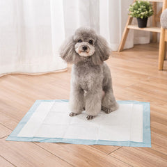 Puppy Pads Pack of 40 Pee Pads for Dogs Potty Training with Leak-Proof Quick-Dry Design Multi-Layer Puppy Training Pads Pack of 20 XL-size 90x60cm