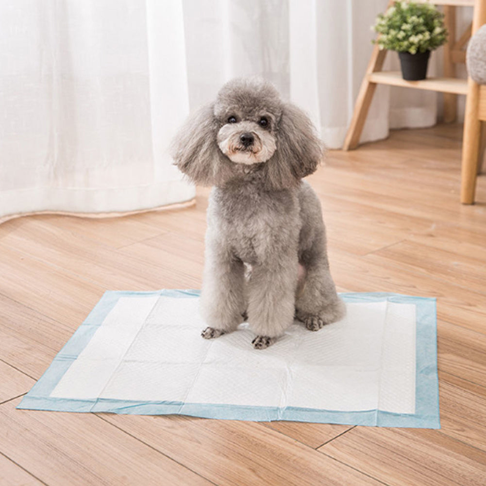 Puppy Pads Pack of 40 Pee Pads for Dogs Potty Training with Leak-Proof Quick-Dry Design Multi-Layer Puppy Training Pads Pack of 20 XL-size 90x60cm
