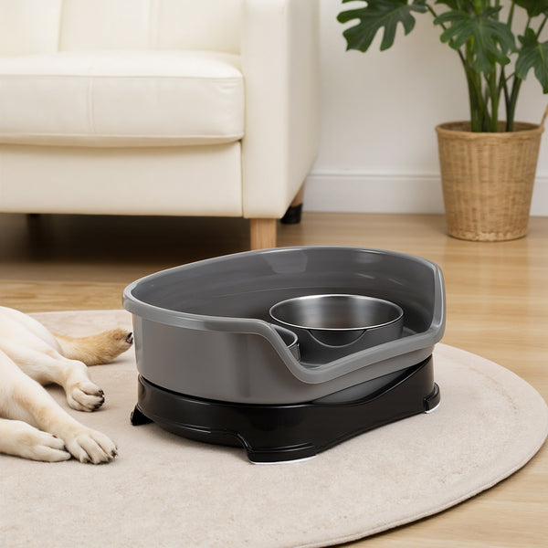 Raised Dog Bowls for Cats and Dogs, Elevated Dog Cat Food and Water Bowls Stands Feeder Dishes with 2 Stainless Steel Bowls, 2 Colours Available