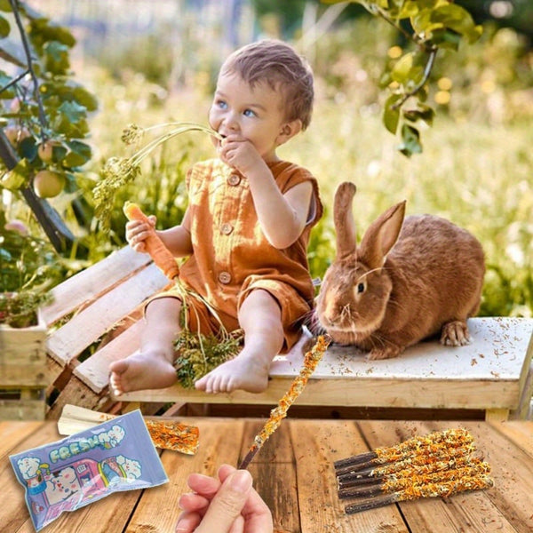 Rabbit Apple Wooden Sticks, Natural Rabbit Chew Toys, Small Animal Wooden Teething, Small Pet Cage Flower Decoration, Hamster, Chinchilla Squirrel Rabbit Guinea Pig Small Pet Apple Chew Stick