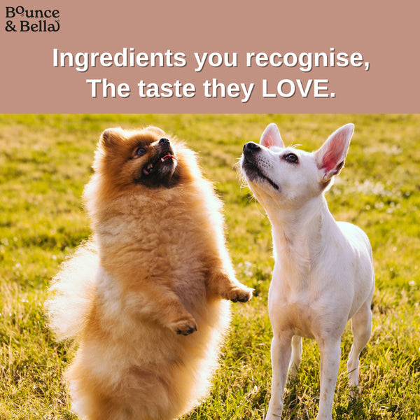 Gourmet Dog Treats - Air-Dried Sausages | Grain-Free, No Derivatives, All-Natural - 200g | Bounce & Bella
