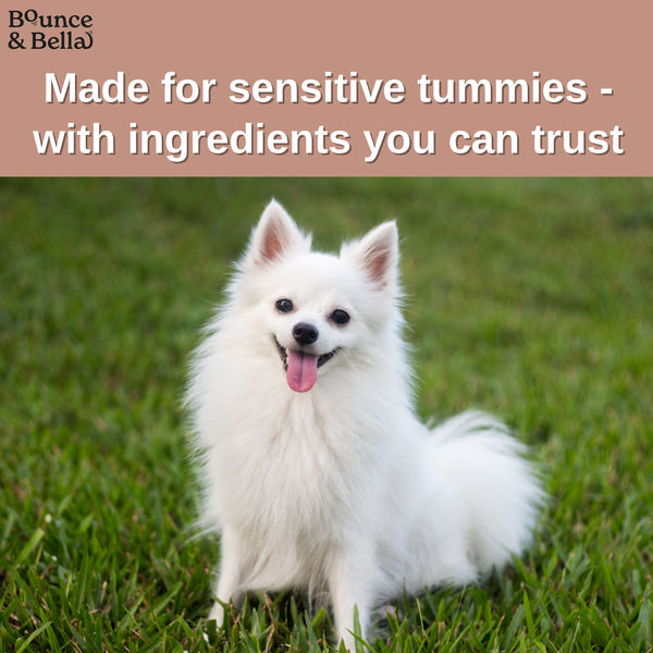 Gourmet Dog Treats - Air-Dried Sausages | Grain-Free, No Derivatives, All-Natural - 200g | Bounce & Bella