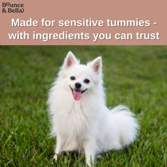 Gourmet Dog Treats - Air-Dried Sausages | Grain-Free, No Derivatives, All-Natural - 200g | Bounce & Bella